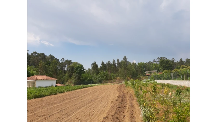 Terreno para Venda em Rendufe Foto 2