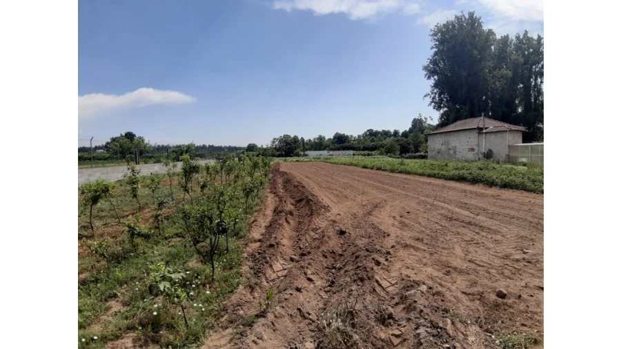 Terreno para Venda em Rendufe Foto 3