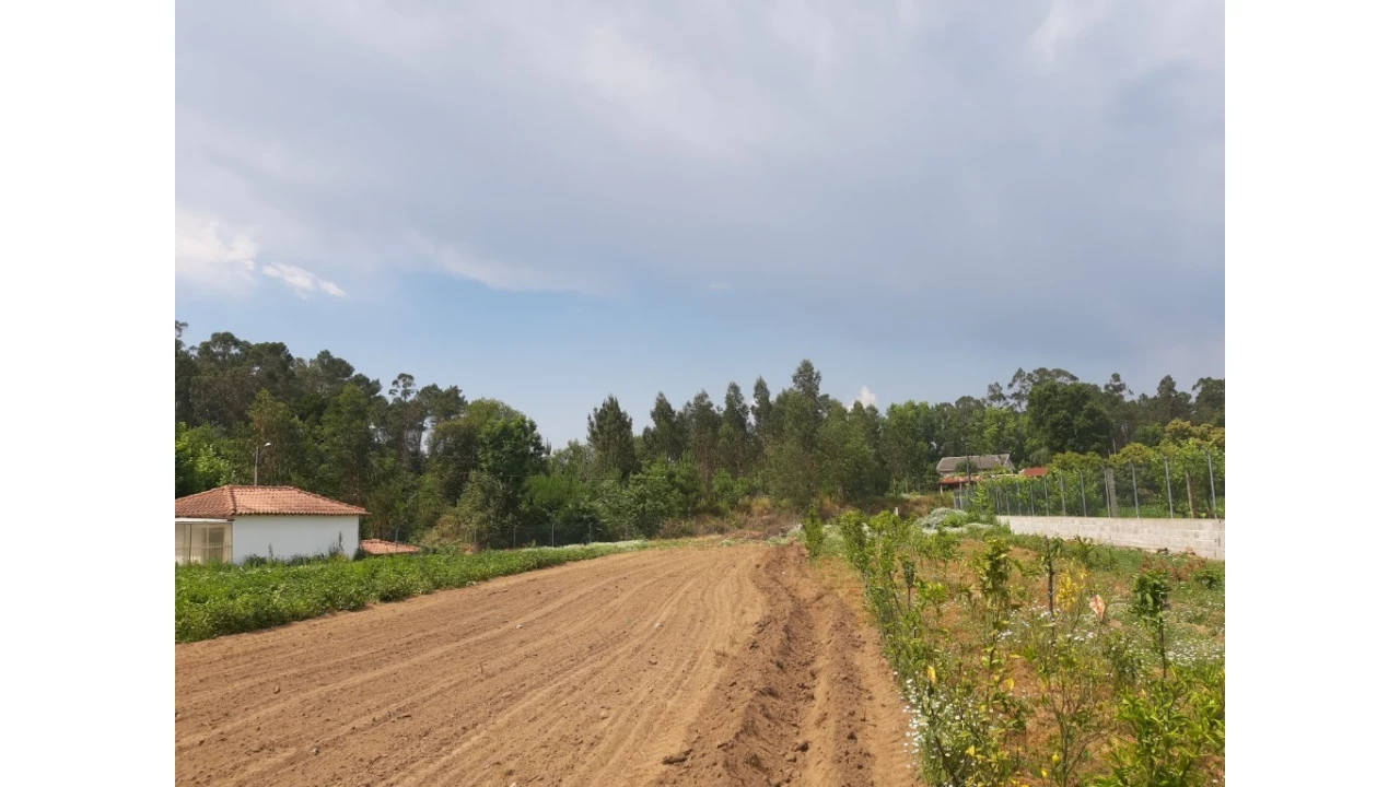 Terreno para Venda em Rendufe Foto 2