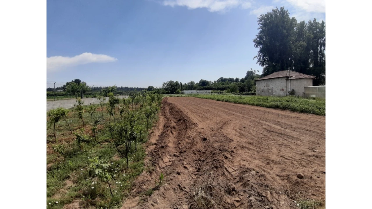 Terreno para Venda em Rendufe Foto 3