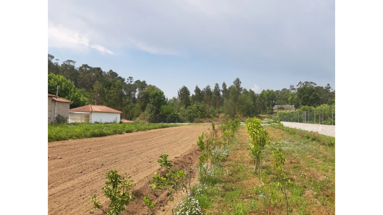 Terreno para Venda em Rendufe Foto 9