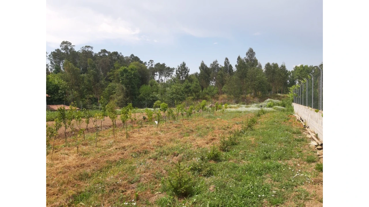 Terreno para Venda em Rendufe Foto 7