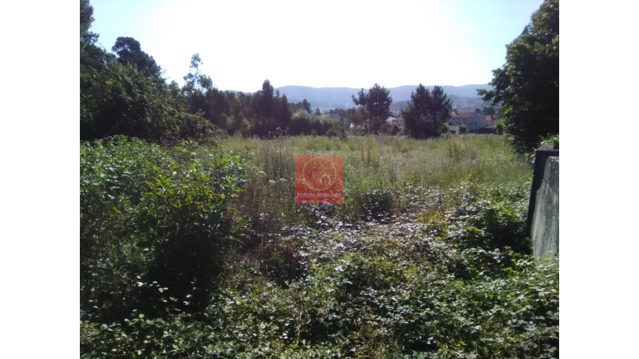 Terreno para Venda em Forjães Foto 10