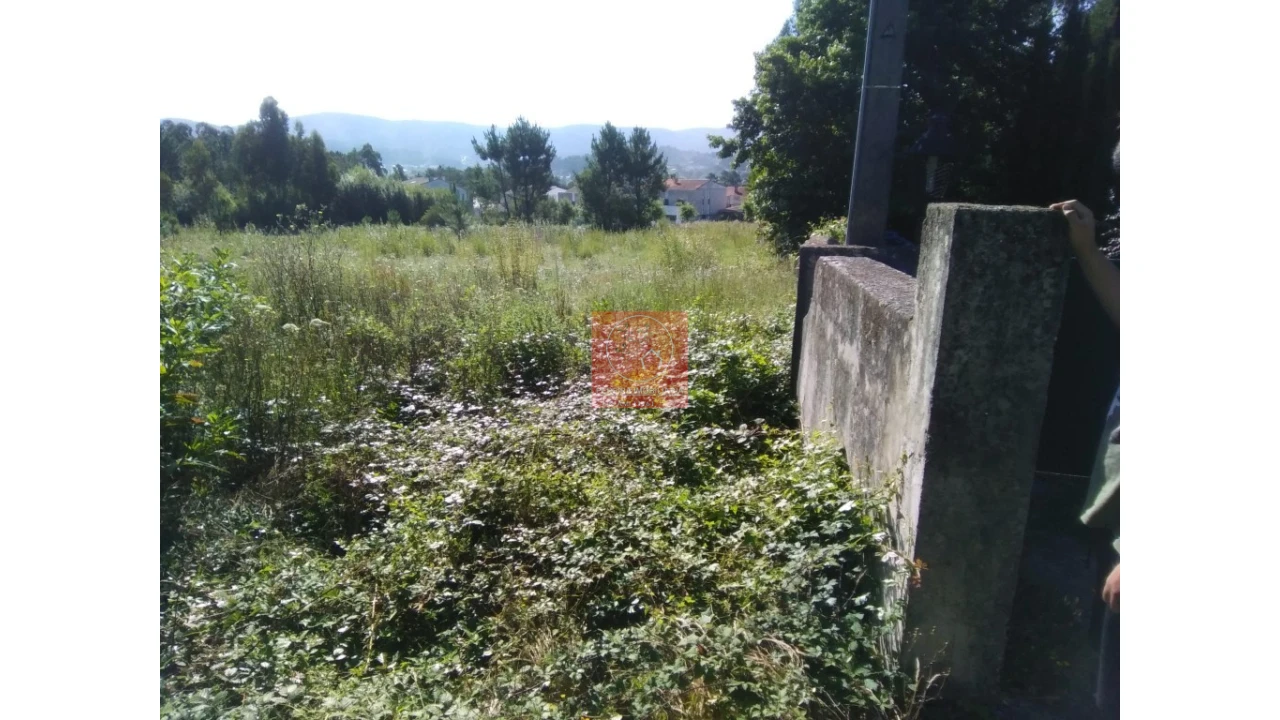 Terreno para Venda em Forjães Foto 3