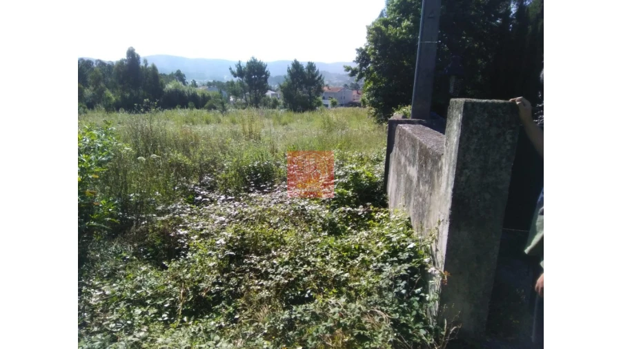 Terreno para Venda em Forjães Foto 3