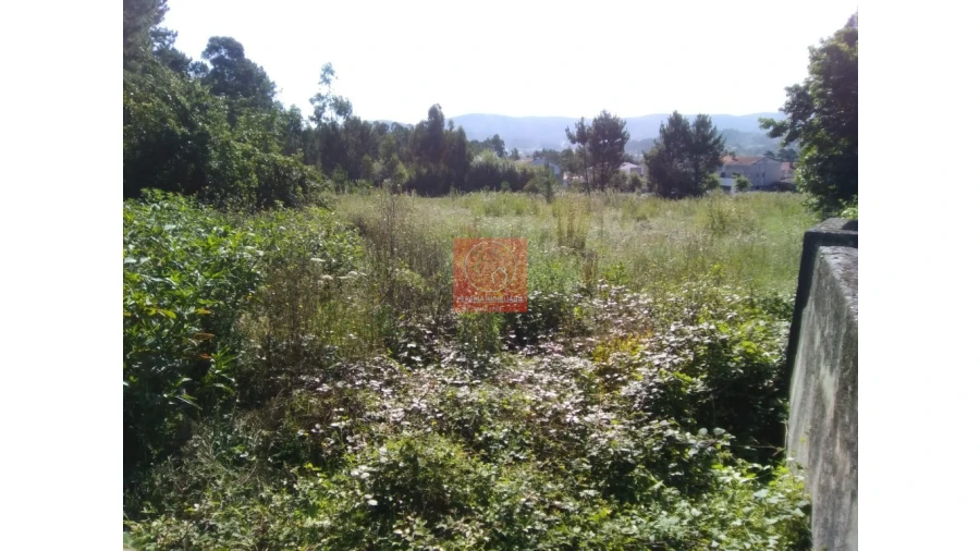 Terreno para Venda em Forjães Foto 6