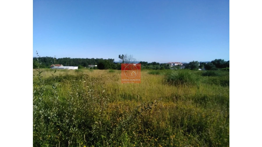 Terreno para Venda em Forjães Foto 5