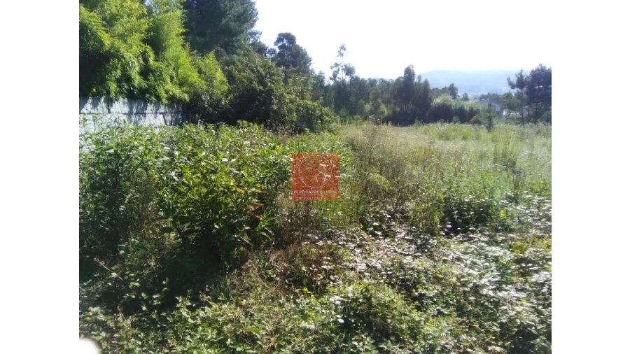 Terreno para Venda em Forjães Foto 4