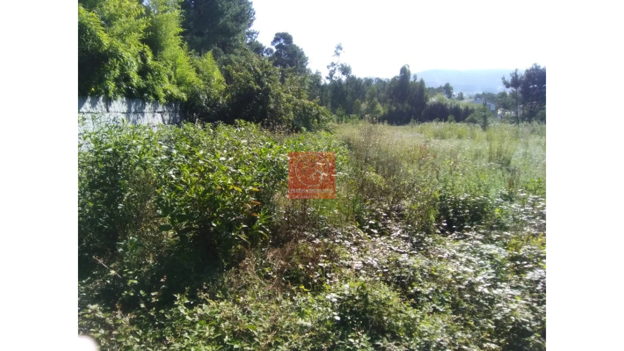 Terreno para Venda em Forjães Foto 4