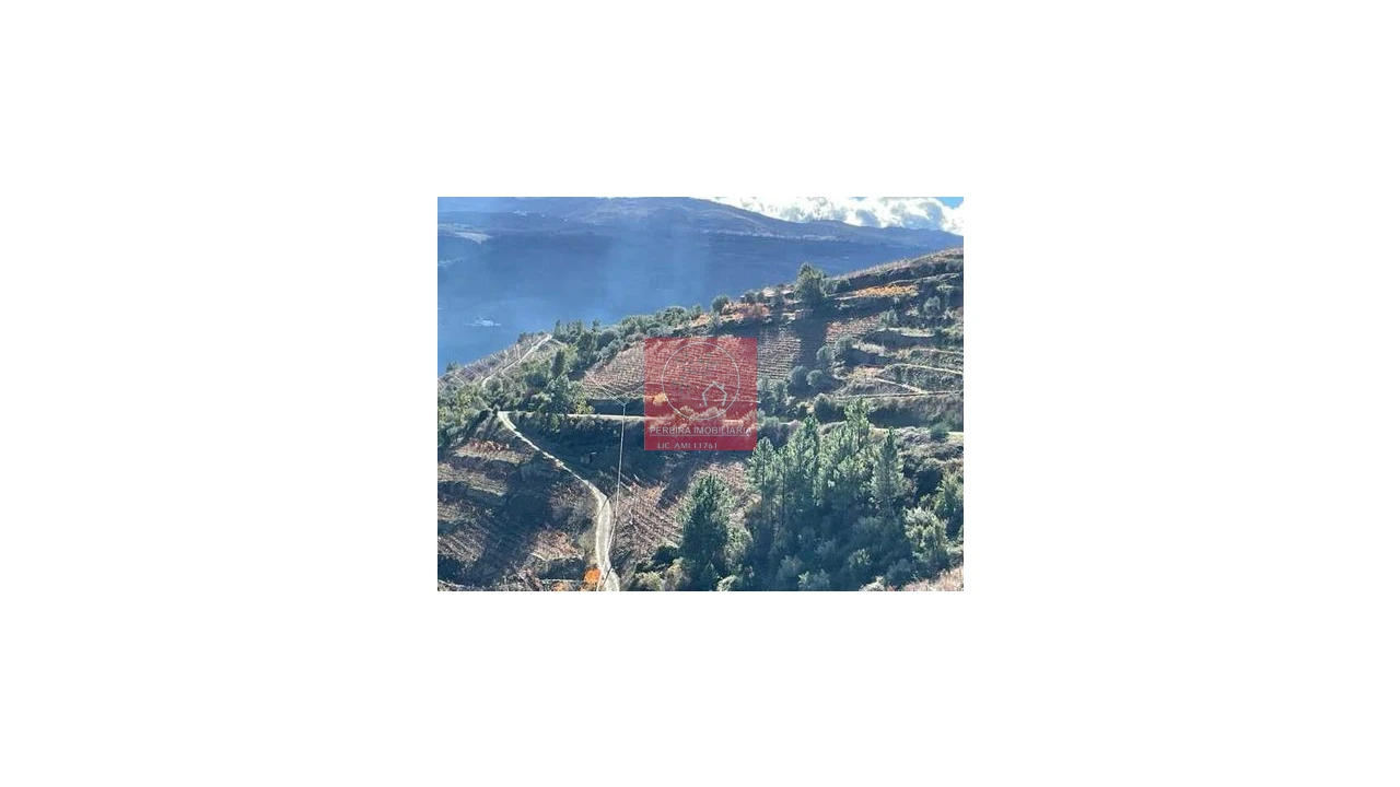 Terreno para Venda em Covas do Douro Foto 3