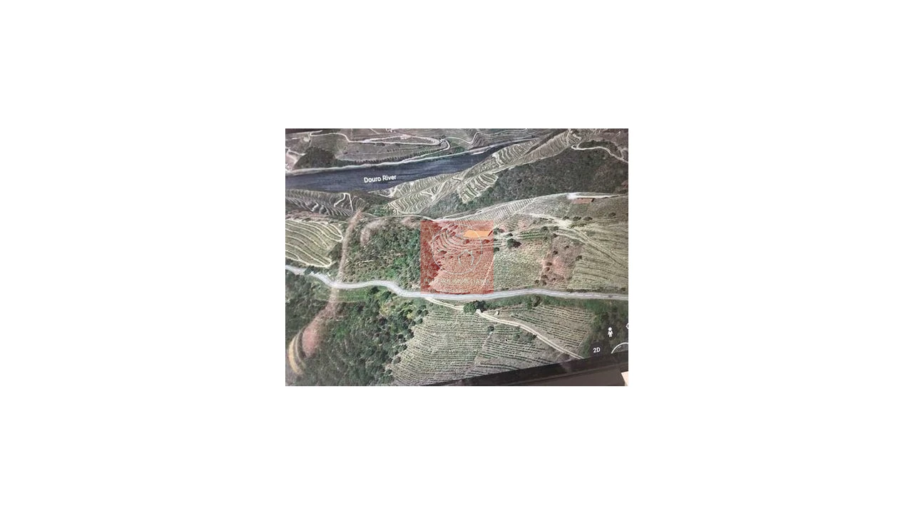 Terreno para Venda em Covas do Douro Foto 7