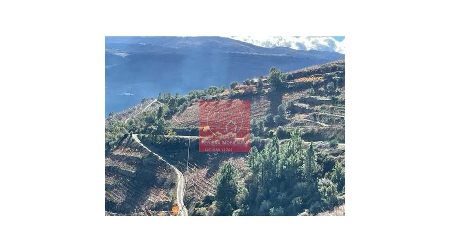 Terreno para Venda em Covas do Douro Foto 3