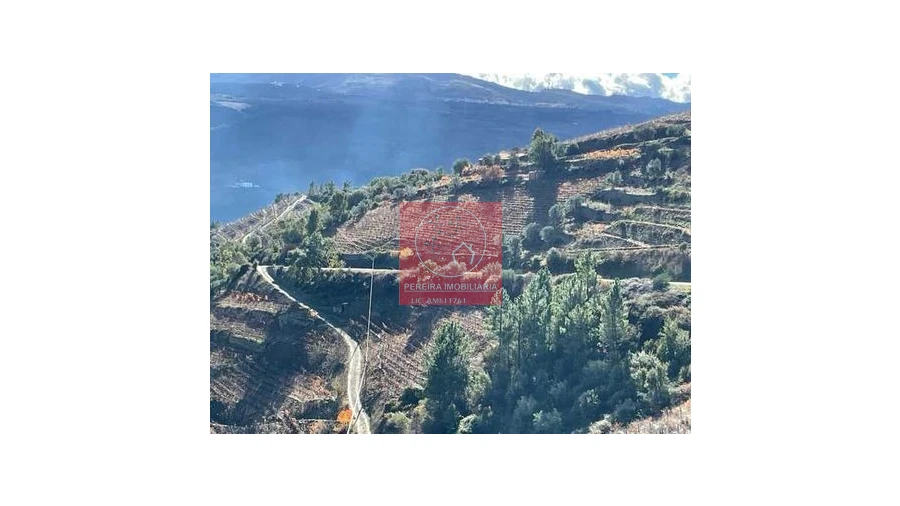 Terreno para Venda em Covas do Douro Foto 2