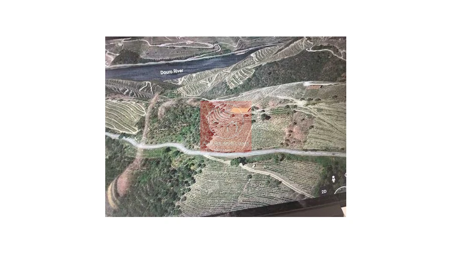 Terreno para Venda em Covas do Douro Foto 7