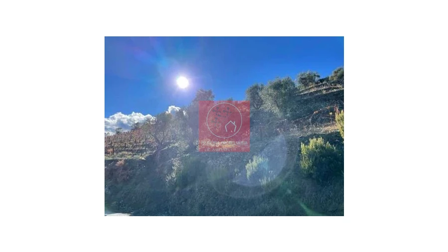 Terreno para Venda em Covas do Douro Foto 5