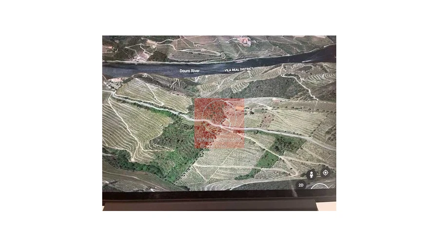 Terreno para Venda em Covas do Douro Foto 1