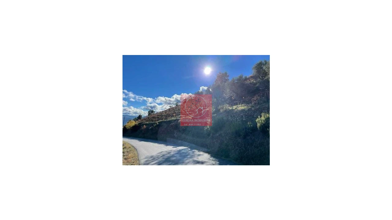 Terreno para Venda em Covas do Douro Foto 4