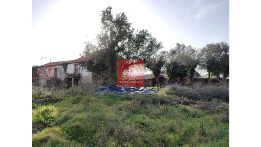 Moradia T2 para Venda em Fragoso Foto 5