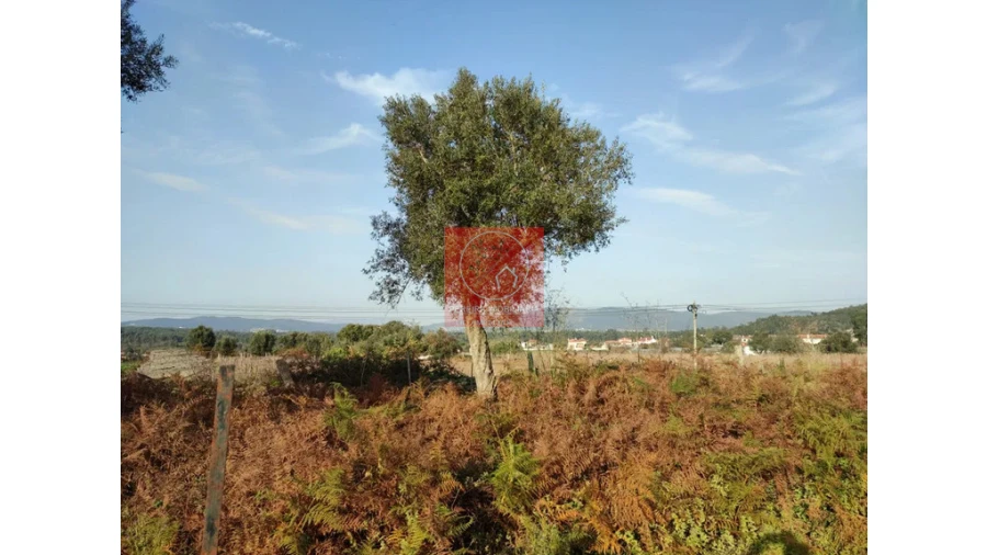 Moradia T2 para Venda em Fragoso Foto 4