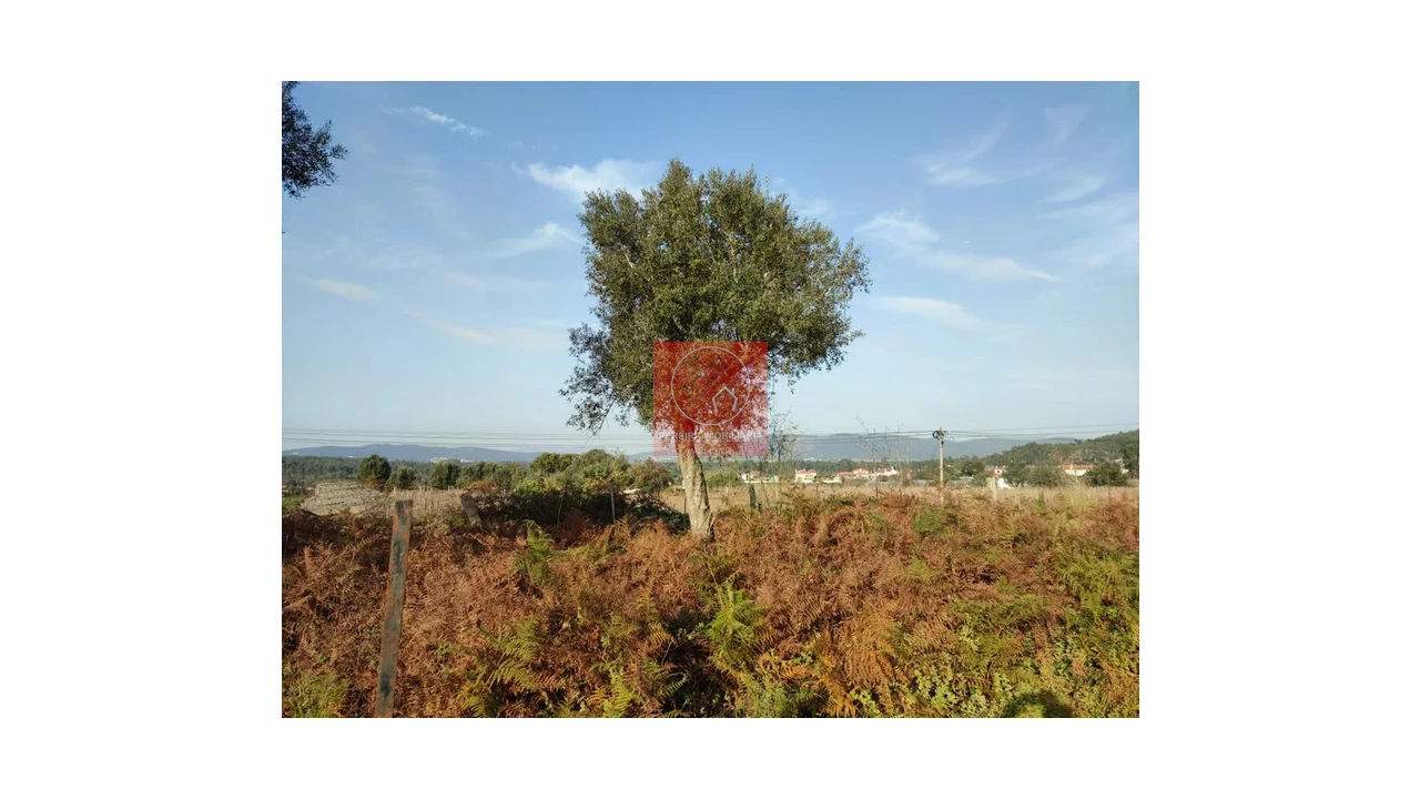 Moradia T2 para Venda em Fragoso Foto 4