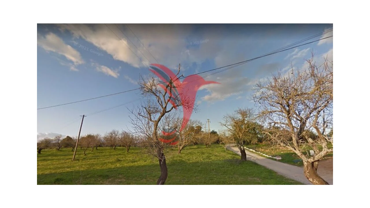 Terreno para Venda em Guia Foto 1