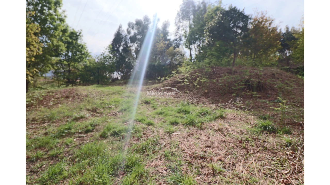 Terreno para Venda em Pedome Foto 11