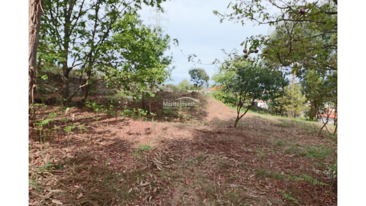 Terreno para Venda em Pedome Foto 7