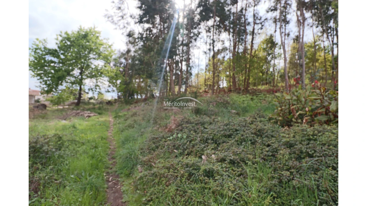 Terreno para Venda em Pedome Foto 2