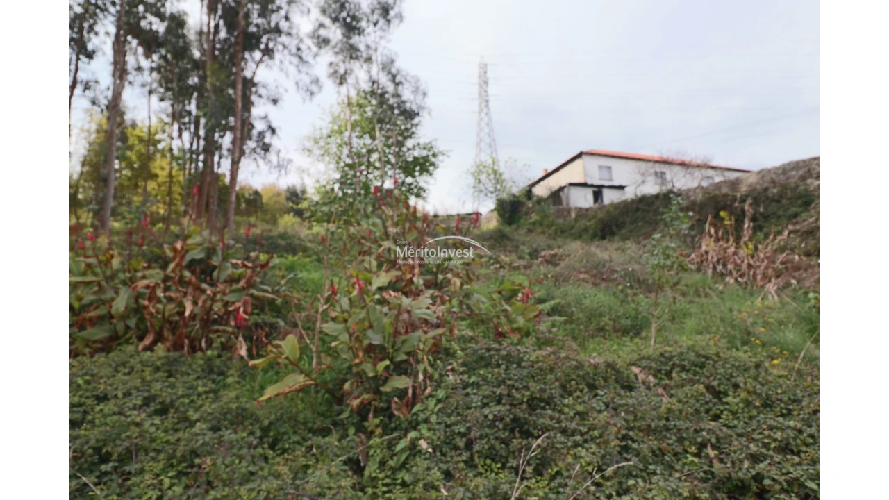 Terreno para Venda em Pedome Foto 3