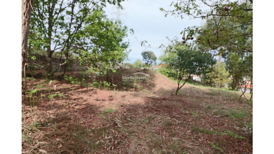 Terreno para Venda em Pedome Foto 7