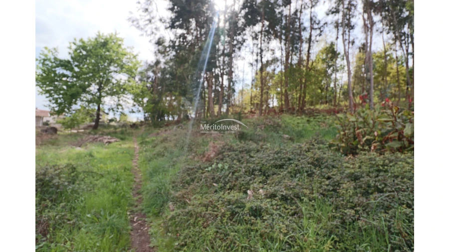 Terreno para Venda em Pedome Foto 2