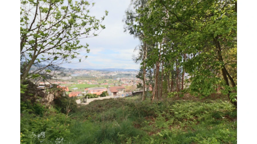 Terreno para Venda em Pedome Foto 10