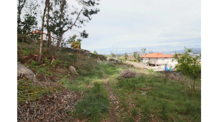 Terreno para Venda em Pedome Foto 13