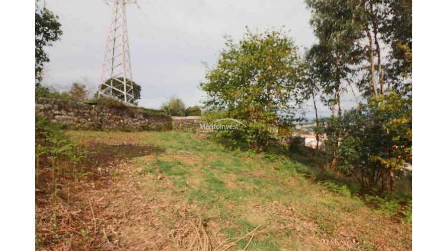 Terreno para Venda em Pedome Foto 9