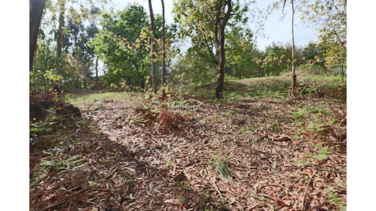 Terreno para Venda em Pedome Foto 12