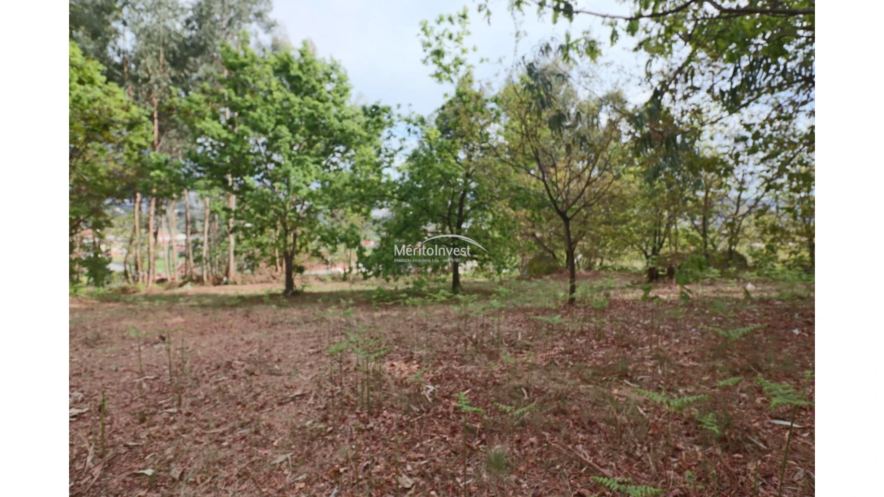 Terreno para Venda em Pedome Foto 8