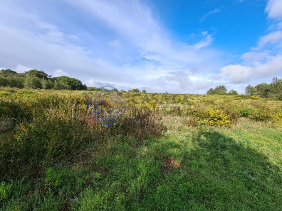 Terreno para Venda em Alcabideche Foto 3