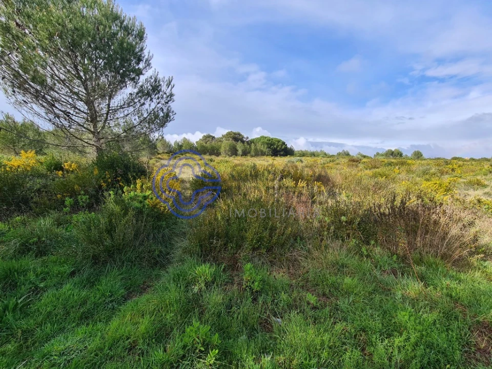 Terreno para Venda em Alcabideche Foto 2