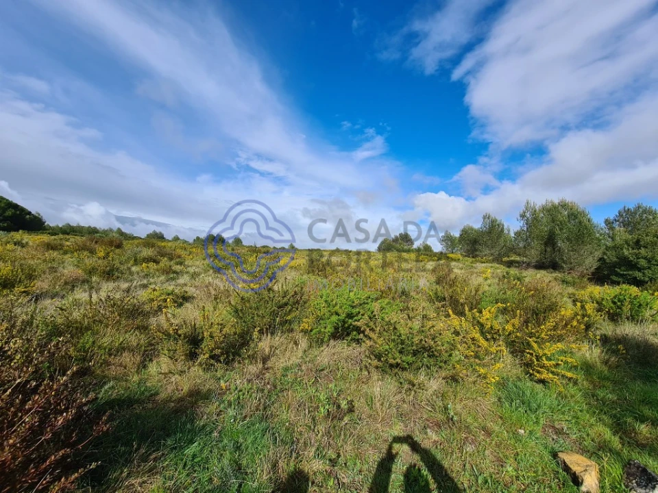 Terreno para Venda em Alcabideche Foto 5