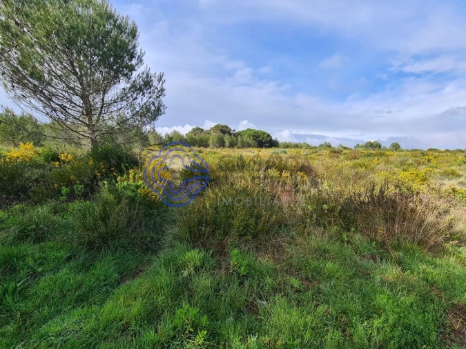 Terreno para Venda em Alcabideche Foto 2