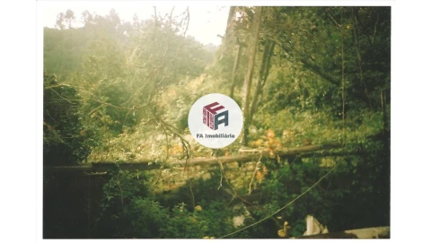 Moradia T4 para Venda em Cinfães