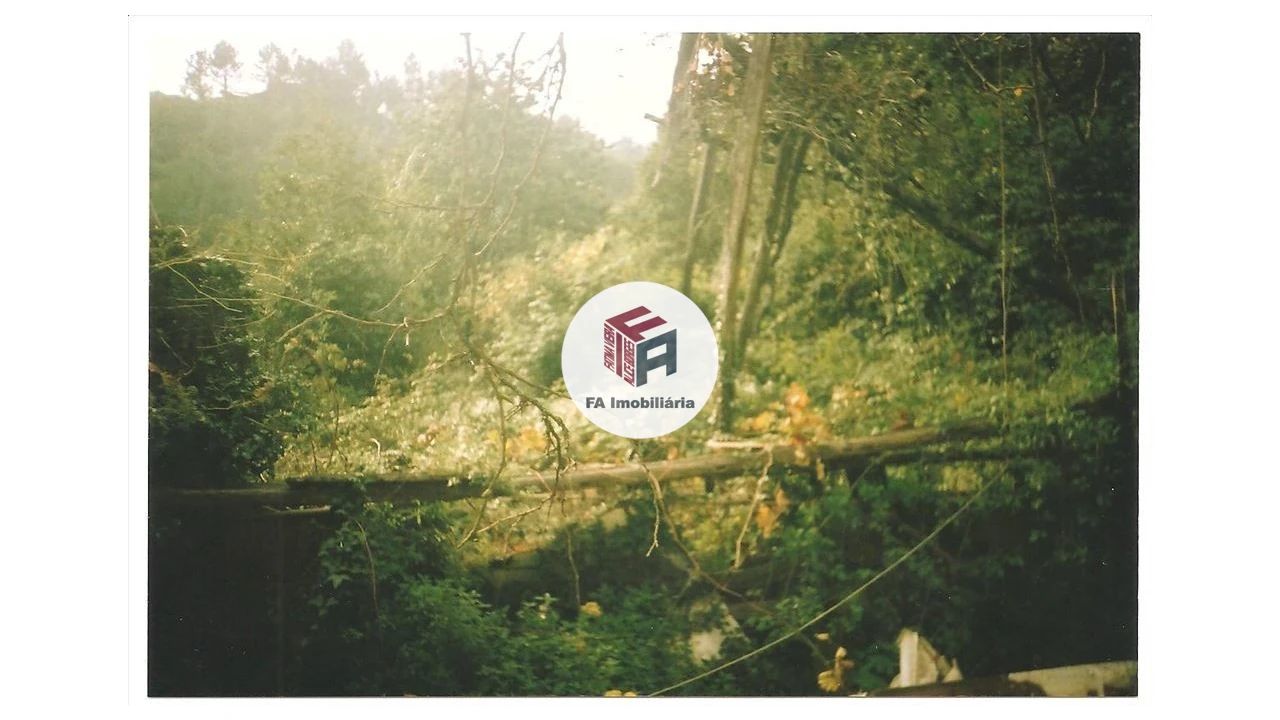 Moradia T4 para Venda em Cinfães Foto 7