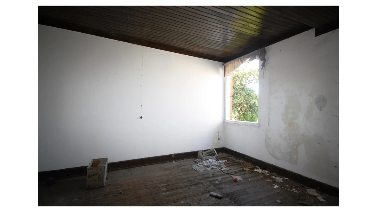 Prédio para Venda em Eiras e São Paulo de Frades Foto 12