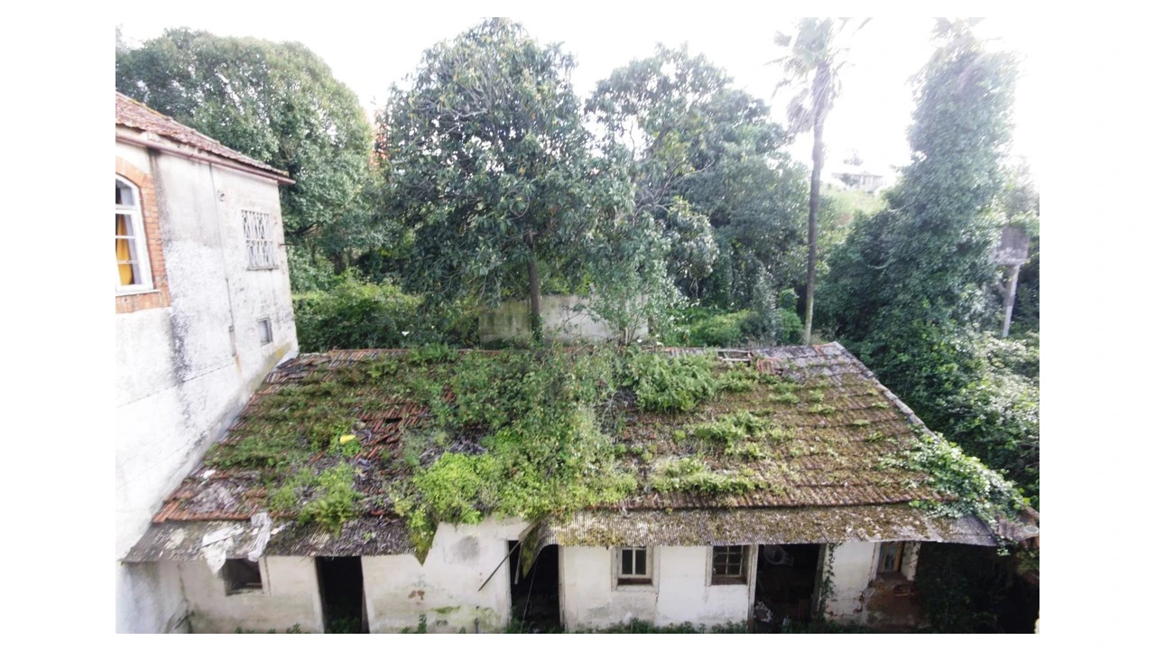 Prédio para Venda em Eiras e São Paulo de Frades Foto 15