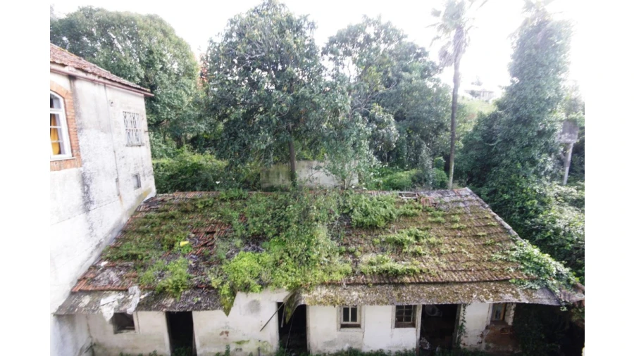 Prédio para Venda em Eiras e São Paulo de Frades Foto 15