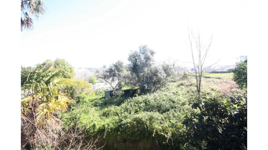 Prédio para Venda em Eiras e São Paulo de Frades Foto 17