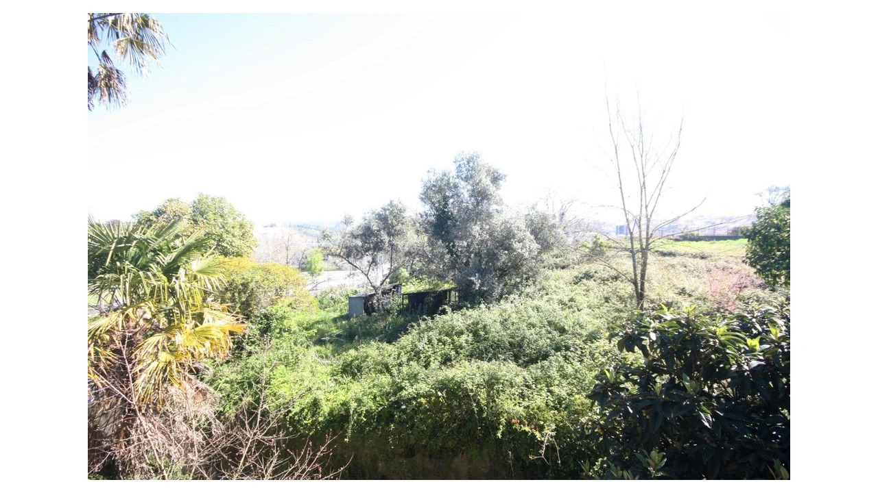 Prédio para Venda em Eiras e São Paulo de Frades Foto 17