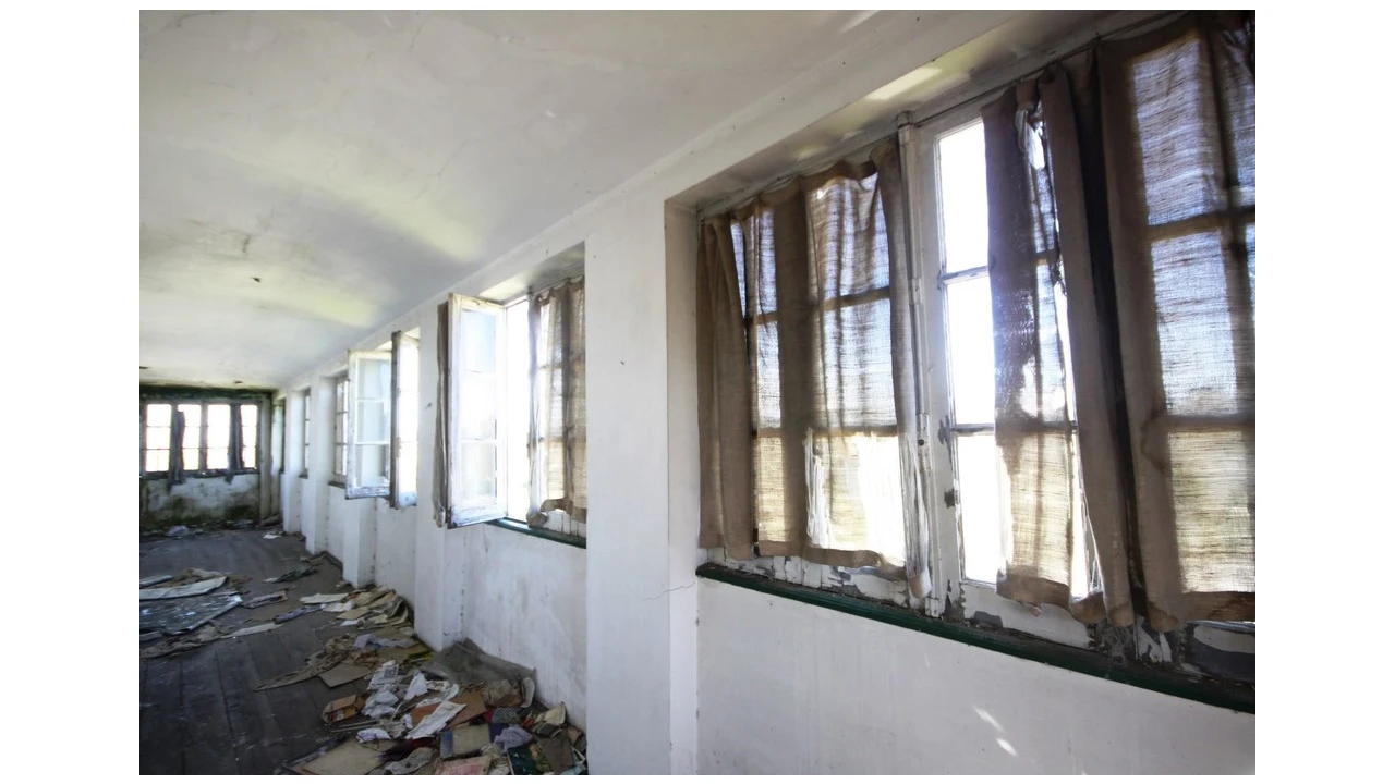 Prédio para Venda em Eiras e São Paulo de Frades Foto 14