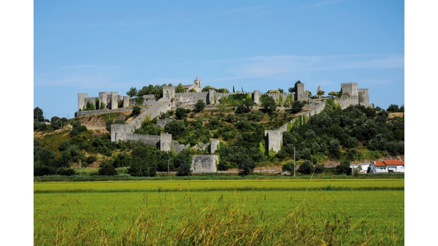 Terreno para Venda em Seixo de Gatões Foto 9