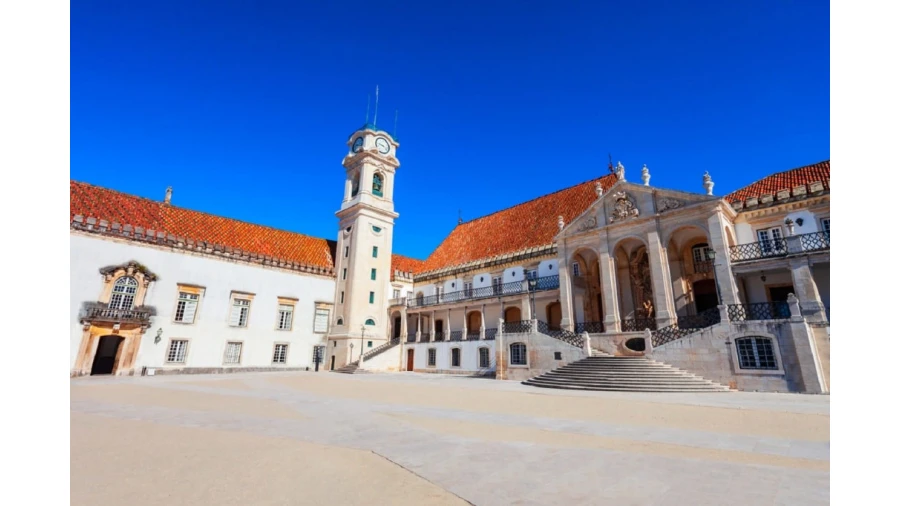 Terreno para Venda em Seixo de Gatões Foto 7